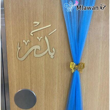 Personalized newborn announcement door decoration featuring baby blue chiffon drapes