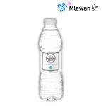 Customize logo water bottles corporate gifts