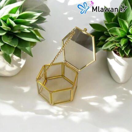 Glass Jewelry Organizer for Rings and Earrings