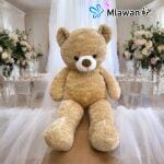 Large 60 cm plush teddy bear for all occasions